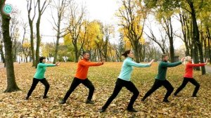5 СТИХИЙ ВНУТРИ НАС: Комплекс У-СИН для Гармонизации Пяти Элементов