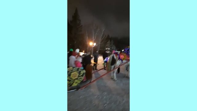 Стих "Новосибирск" из книги "Лампионы " Елены Куликовой. Авторское чтение смотреть онлайн