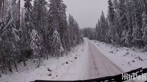 Лесовозы Вольво на новой делянки. Никогда такова не было и тут опять...