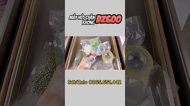 Máy hút chân không công nghiệp Dz600