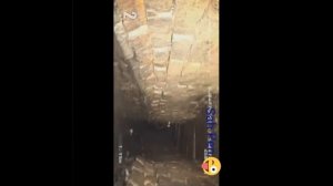 Топ 5 страных существ снятых на видео камеру!!!