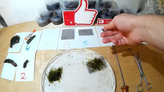 #136 10 СПОСОБОВ ПРИВЯЗАТЬ МОХ. 10 WAYS TO TIE THE MOSS смотреть онлайн