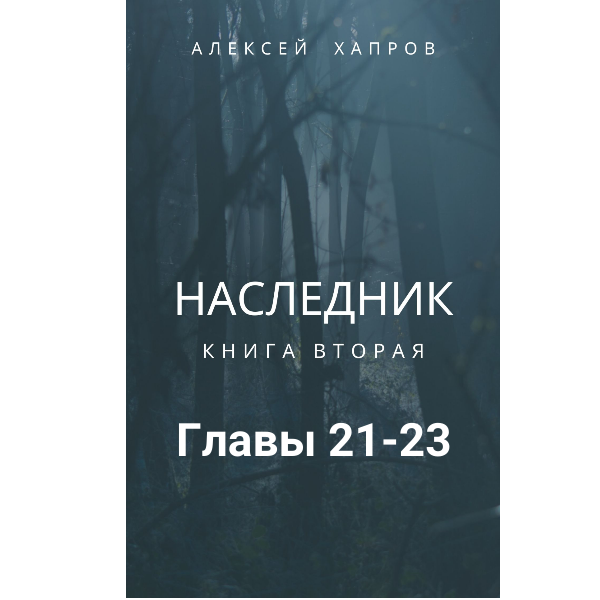 Наследник. Книга вторая
Главы 21-23