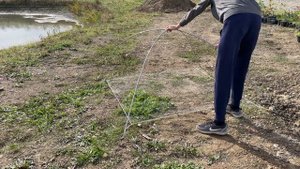 Рыбалка на паук подъёмник, ещё один вид рыбы запустил в свой пруд