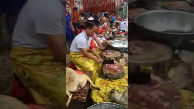 Yulin Dog Meat Festival in China????