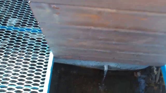 Бургундская порода. смотреть онлайн