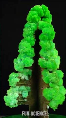 Science Experiment | #shorts #experiment #scienceexperiment смотреть онлайн