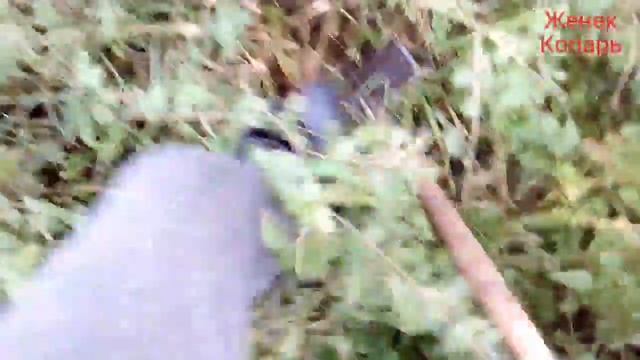 Новый мд и хороший коп! смотреть онлайн