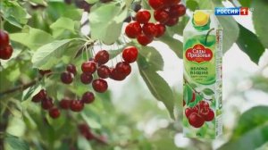 Реклама Сады Придонья Вишня— Сок, который мы вырастили (2018)