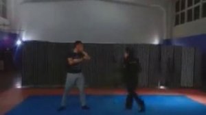 стиль Брюс ли  jeet kune do