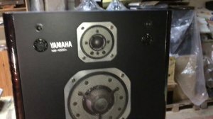 Yamaha ns-1000x