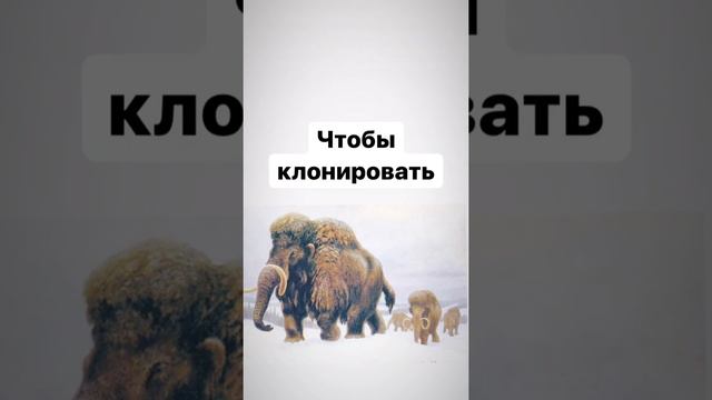 Клонировать мамонта по ДНК?