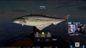 Самая бюджетная сборка для Норвежского моря • Русская Рыбалка 4