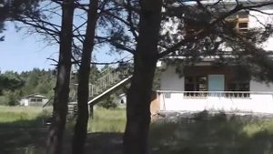 Пионерский лагерь "Чайка"