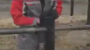 винтовые сваи расчет количества