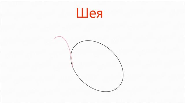 Почему голубь - это символ мира? смотреть онлайн