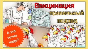 Вакцинация - за и против / Просто о сложном / Вакцинация птицы