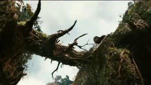 KING KONG 2005 (Tribute)