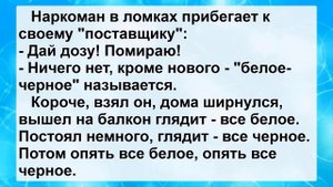 Анекдоты смешные до слез! Сборник Веселых Пикантных Остреньких Анекдотов для Супер Настроения!