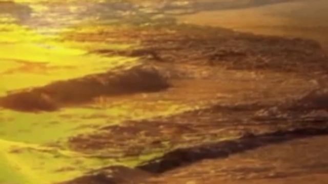 Не садись на пенёк. Глава двадцать шестая. смотреть онлайн