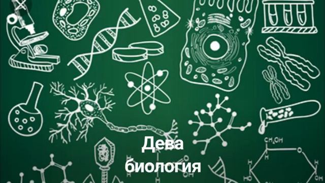 Какой ты предмет в школе по знаку зодиака? смотреть онлайн
