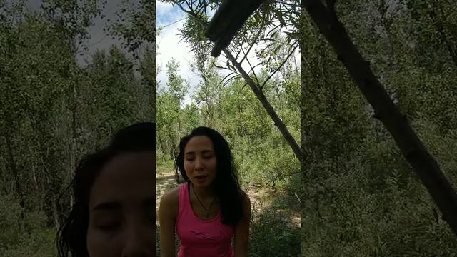 Практика успокоения. Как успокоить ум?