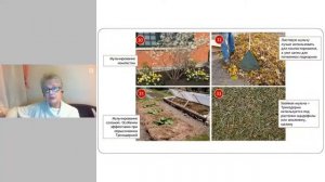 Органические Подкормки: Компост, Навоз, Перегной. Что выбрать и как использовать?