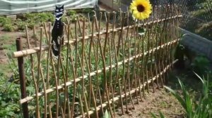 Идеи интерьера квартир и дачных садов.