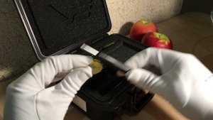 Часы наручные Восток Европа Анчар NH35A/510C530