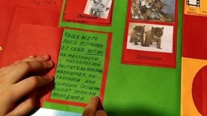 Проект по окружающему миру 2 класс Красная книга или Возьмём под защиту Арина Миськив