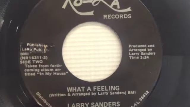 Larry Sanders (Saunders) - What a Feeling смотреть онлайн