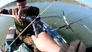 Крупный сазан на донку. Река Обь.