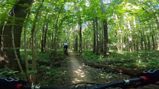 Чесс-парк трейлсет ЗЕЛЁНЫЙ lite смотреть онлайн