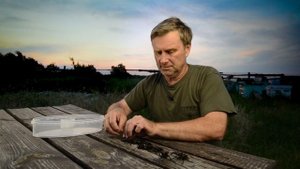 Ведро оленей. Нескучная жизнь.