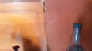 Обжиг сосны. Чем покрыть после. Ремонт гаража своими руками