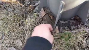 Забирай 1500 рублей на халяву | Игра поиск денег | Деньги на халяву