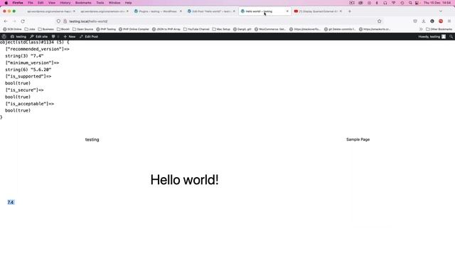 PHP Debug External API data Query in WordPress
