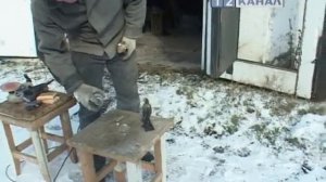 Скульптуры из угольной пыли