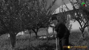 ИСТОРИИ ДОЛГОЖИТЕЛЕЙ