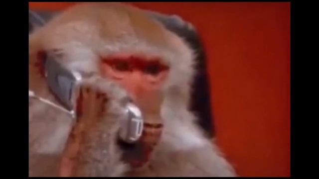 5 ошибок, которые делают моряки смотреть онлайн