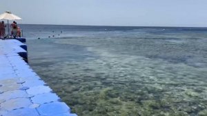 Concorde El Salam Front 5* Шарм Эль Шейх 2021/ Территория, море, пляж! ( 3 часть)