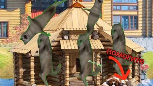 Пов собакам купили новую будку???. Мем ихвильнихт. смотреть онлайн