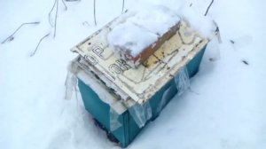 Мороз -40 или -50 При какой температуре комфортно зимовать пчелам на улице