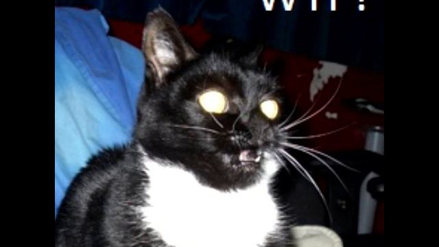 Experimental Tuning смотреть онлайн