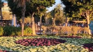 АЛАНЬЯ. ТУРЦИЯ 2023.