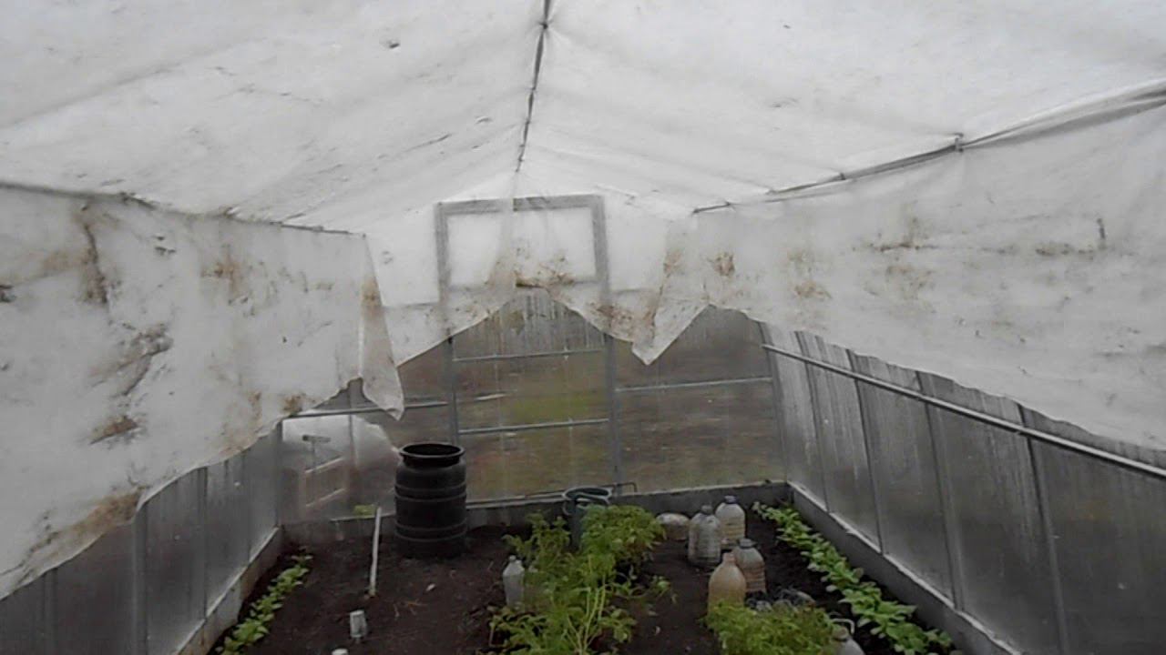 Затенение теплицы. Сетка затеняющая 80% 4*20м. Затенение теплицы укрывным материалом. Затенение теплицы внутри. Спанбонд в теплице из поликарбоната.