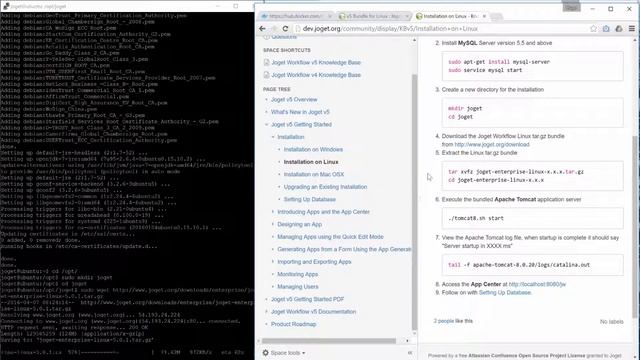 Tutorial - Installing Joget Workflow v5 with Oracle 11g in Docker смотреть онлайн