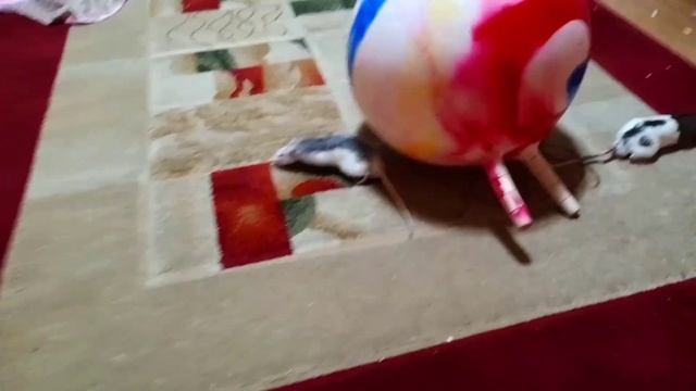 История о том как важно делать уборку в комнате / Sofi sharm смотреть онлайн