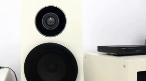 Yamaha NS-F700