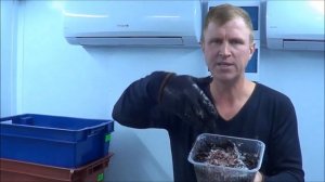 ТТ73 Акция на червей ККЧТ от Ткаченко